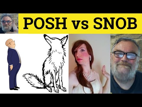 🔵PoshまたはSnobbish-Poshの意味-Snobbishの例-PoshとSnobbishの違い