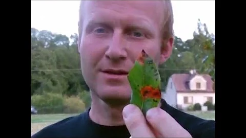 Jaké jsou nejlevnější postřikovače?