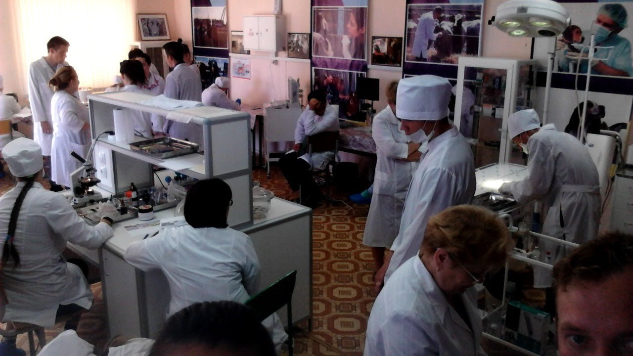 буинский ветеринарный техникум