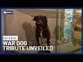 Tribute To War Dog Unveiled In New Afghanistan Exhibit At Australian War Memorial | 10 News