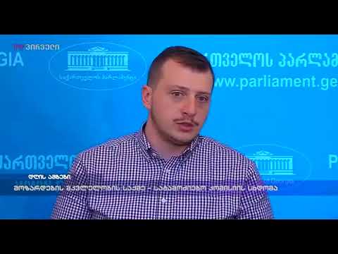 მოზარდების მკვლელობის საქმე - საგამოძიებო კომისიის სხდომა