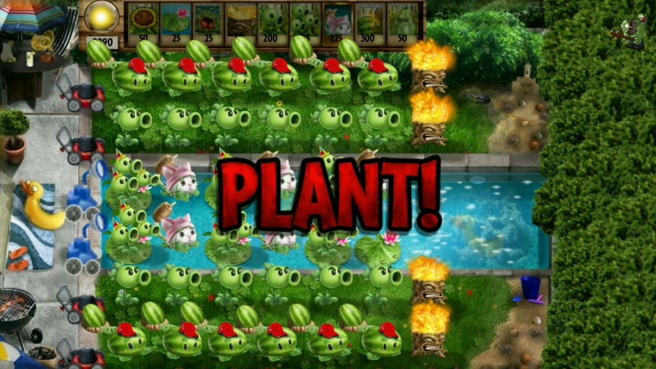 Plants vs zombies real live survival pool