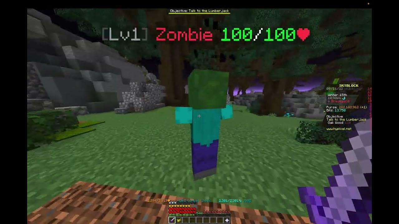 POV Heart rune Hypixel skyblock YouTube