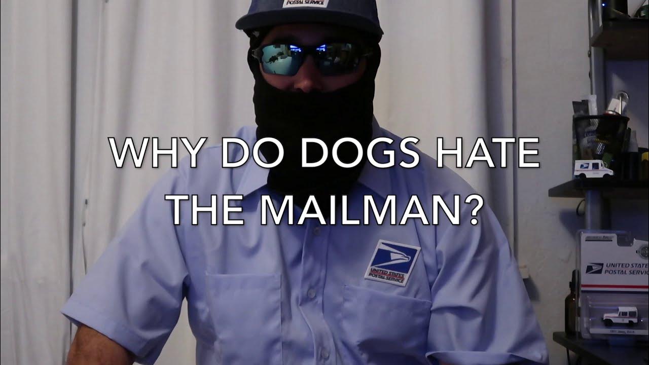 Why do dogs hate the mailman? YouTube