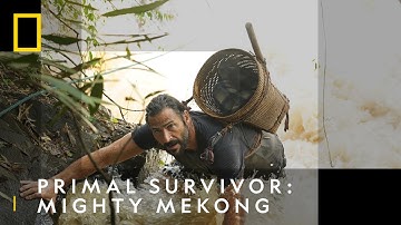 Man Vs Mother Nature | Primal Survivor: Mighty Mekong | National Geographic UK.
