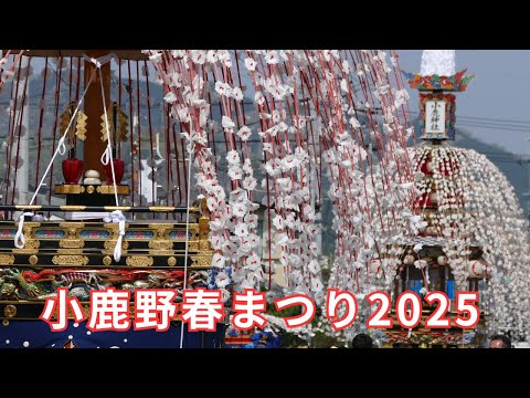 小鹿野春まつり2025 #1 小鹿神社へ 埼玉県秩父郡小鹿野町 -【4K】