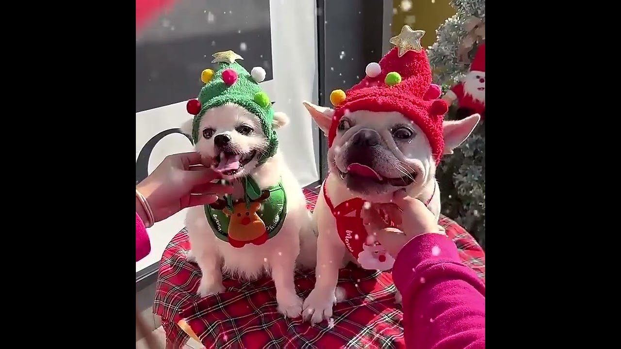 Pet Cat Dog Christmas Hat Cartoon Bandana Holiday Party Cute Costumes