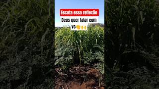 #deus #reflexão #agro #roça #caminhoparaumavidamelhor