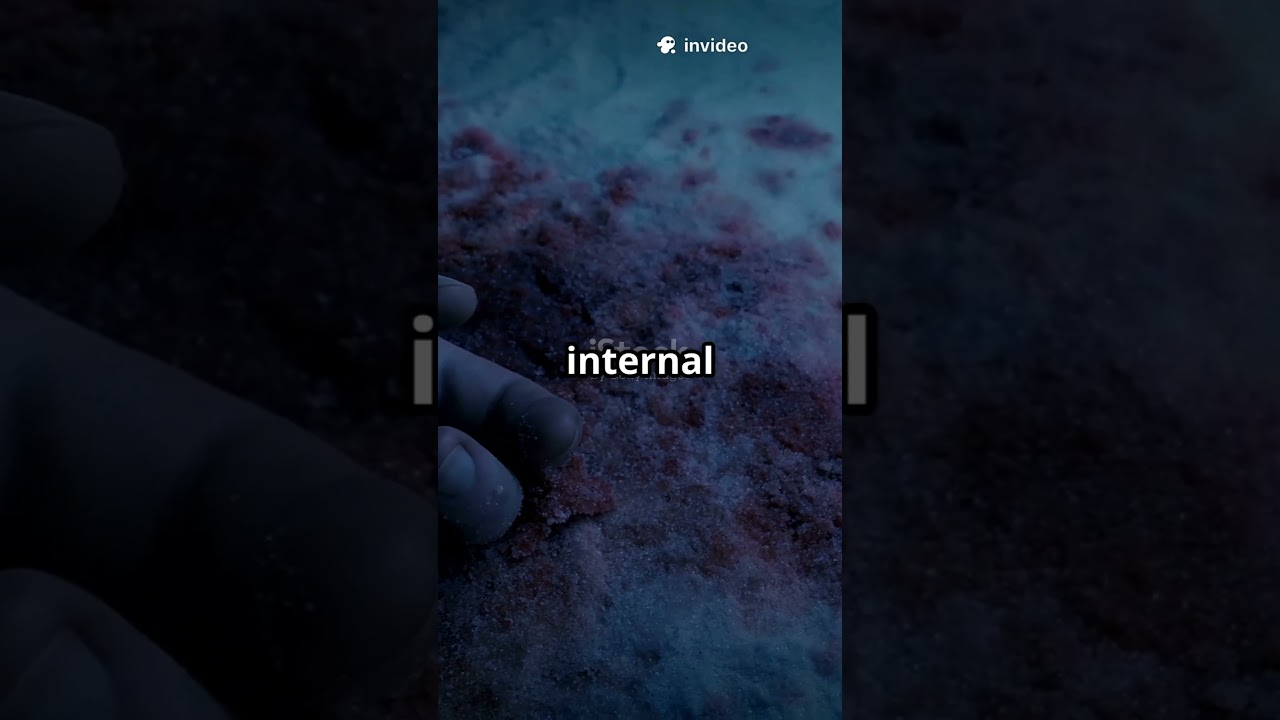 The Chilling Mystery of Dyatlov Pass