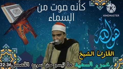 القارئ الشيخ عمرو السعيد تلاوه رائعه ماتيسر من سوره القصص