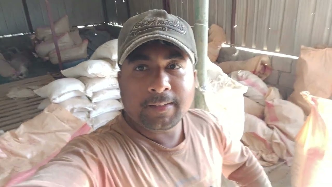 বিদেশে ভুট্টা পাউডার ও গমের পাউডার কি মেশিন দিয়ে পাউডার করা হয় দেখুন।। Kuwait village life 2026।।