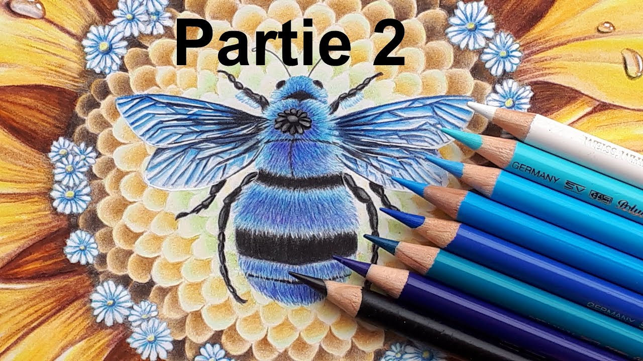 Coloriez une ABEILLE BLEUE partie 2 : des AILES luisantes - Flourish - Johanna Basford