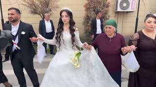 Seven Pro studio в прямом эфире!