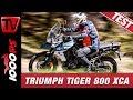 Reiseenduro Vergleichstest 2019 | Triumph Tiger 800 im Vergleich - Test und Empfehlungen