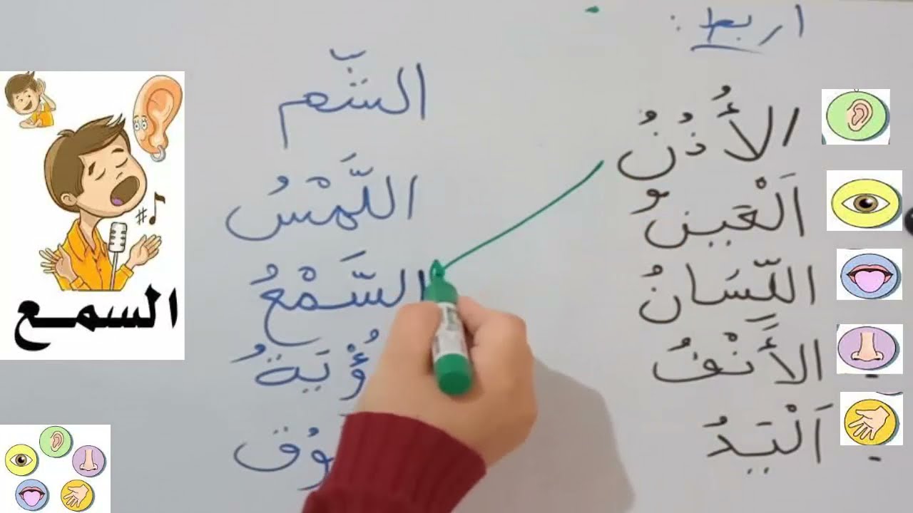 #أولى ابتدائي الحواس الخمس #تربية علمية شرح مميز طريقة تهجئة الحواس والتعرف على الحواس مع نشاط