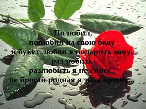 Эльдар Далгатов  - Полюбил Eldar Dalgatov - Polubil and Lyrics