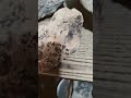 Black Poked Stone