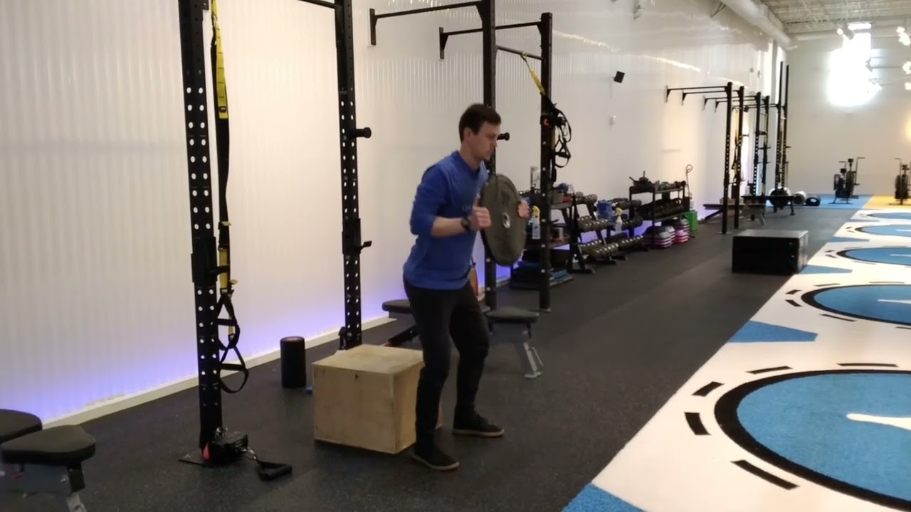 Squat to Box w/ Plate Reach