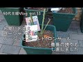 【ガーデニング・50代主婦暮らしのVlog】薔薇の苗購入・植え替え・アーチ増設と誘引し直し/１月の庭の花/17歳のうしくん