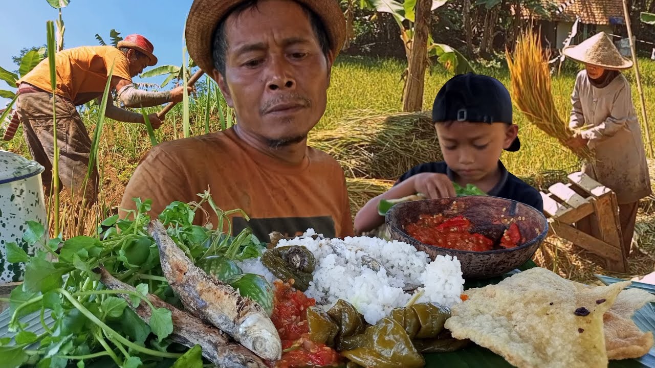 Makan Nasi Liwet di Sawah Bareng Cucu