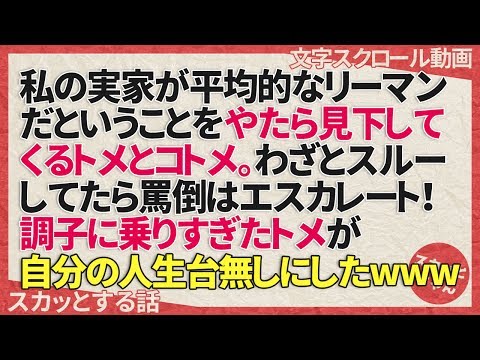スカッとする話 私の実家が平均的なサラリーマンだということをやたら見下してくるトメとコトメ。わざとスルーしてたら罵倒はエスカレート！調子に乗りすぎたトメが自分の人生台無しにしたwww スカッとちゃん