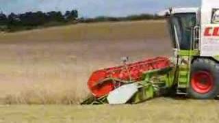 Claas Lexion 480 na polach pod Barlinkiem.