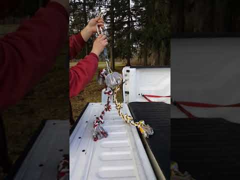 diy-spring-pole-instructions-for-strong-dogs.-heavy-duty!