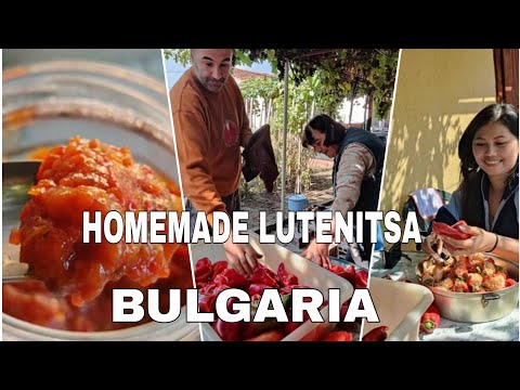 Video: Hur Man Ska Bo I Bulgarien