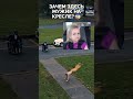 Отрывок из Фильма. Зачем Здесь Колясочник? #shorts #шортс #мем #отрывок #фильм