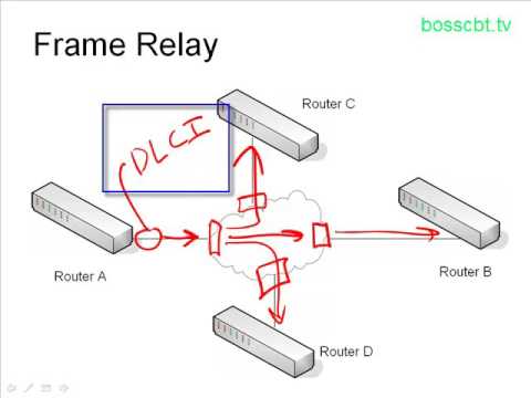 frame relay คือ  2022 New  5. Intro to Frame Relay