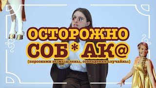 Городской Шакал: ОСТОРОЖНО СОБ*АК!!!