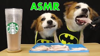 Dog Eating Chicken Feet For The First Timeasmr