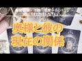 🥀不倫タロット🥀奥様と彼の現在の関係🥺