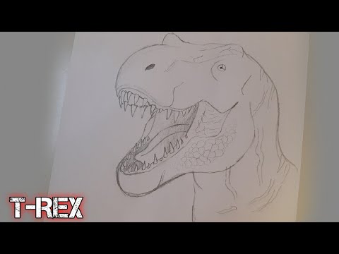 Como desenhar um Tyrannosaurus Rex (T. Rex)