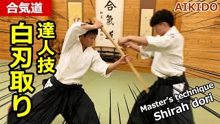 Aikido Counter technique against sword attack 