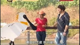 103 12 26民視英語新聞黑琵報導