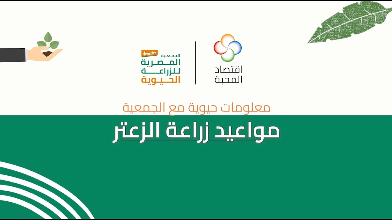 مواعيد زراعة الزعتر