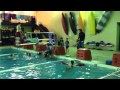 Pool 7-29-14