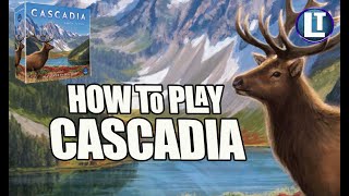 CASCADIA / LEARN HOW To PLAY In LESS THAN 10 MINUTES / Teach A Friend How To Play CASCADIA