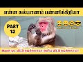 Part - 12 || இவன்கிட்ட பேசினா தலை வலிக்குதுடா 😂 #@MasterofHumorMH
