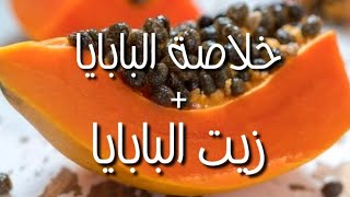 طريقة صنع خلاصة البابايا+زيت البابايا من البيت papaya extract