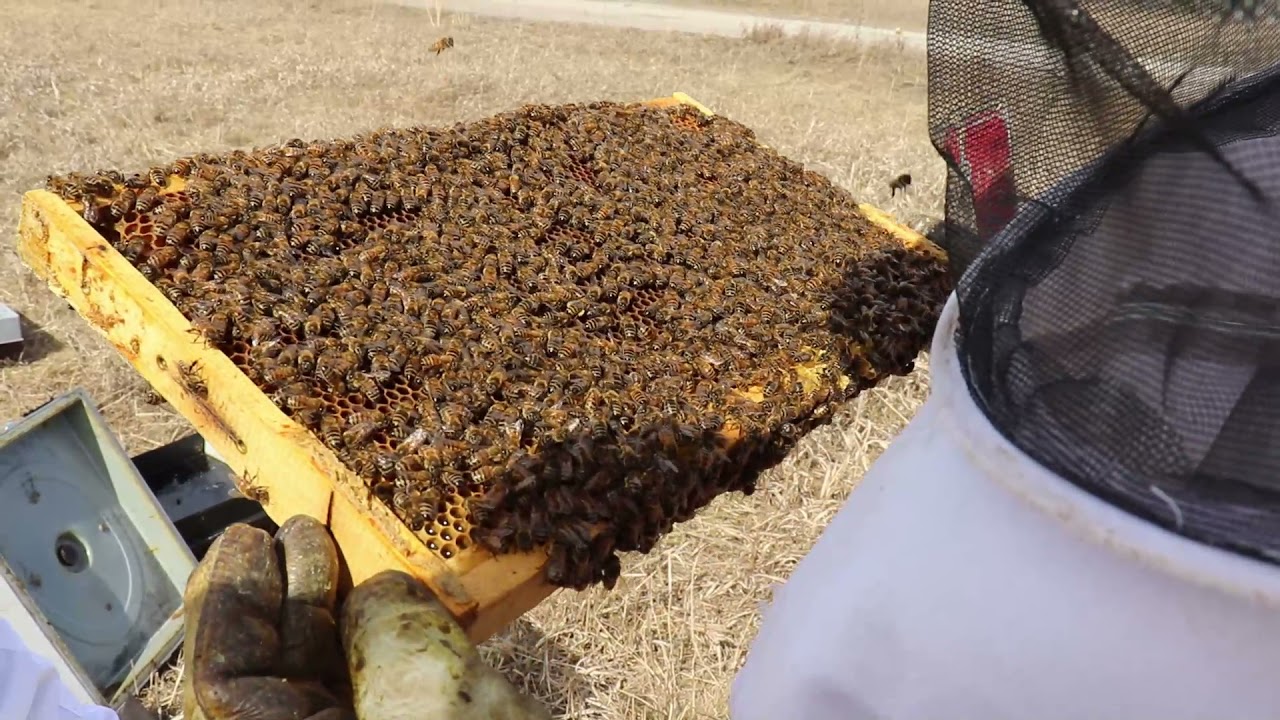 Πρώτη μέρα σεζόν 2021 - 30 Μαρτιού