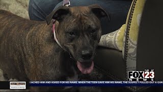 Adopt a Survivor: Meet Penny