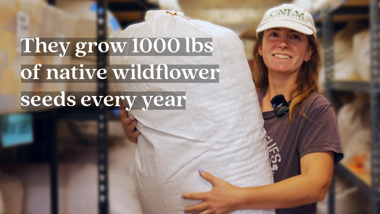 Behind the Scenes at a Native Seed Farm | Hands on Plants Series ep. 5