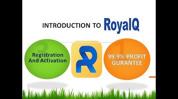 How to Register and Activate Royal Q Bot