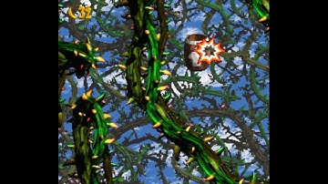 Donkey Kong Country 2: Diddy