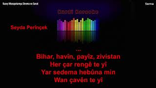 Seyda Perînçek & Pınar Şahin - Çar Demsal (Kurdî Karaoke) Resimi