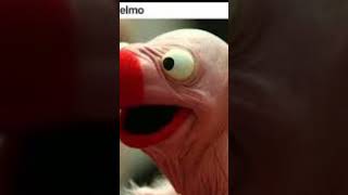 Tobu Candyland But Low Quality Ft. Random Photos On My Photo Gallery