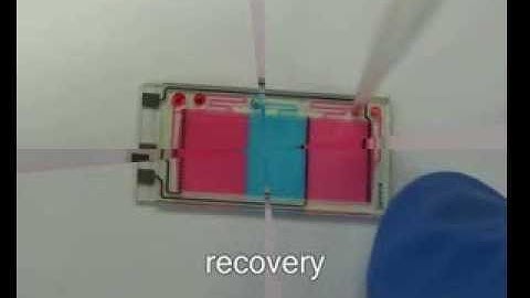 phaseguides, a novel concept for controlled microfluidic filling of chips