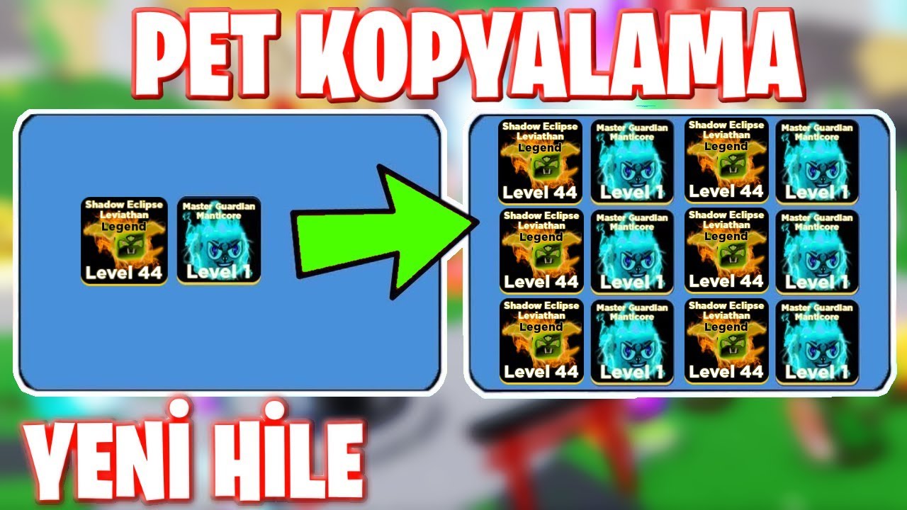 Ninja Legends Pet Nasil Kopyalanir Yeni Pet Kopyalama Hilesi Youtube - roblox ninja legends pet kopyalama